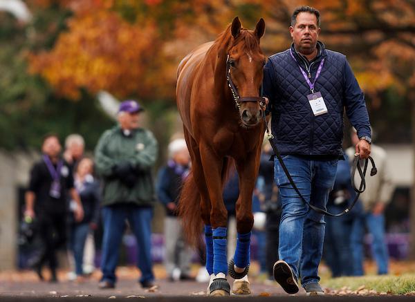 Gold Phoenix, Del Mar Handicap, Breeders' Cup Turf, Del Mar, Little Red Feather, America's Best Racing, horse racing, ABR